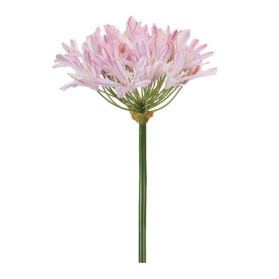 Agapanthus Stem 26”H Polyester