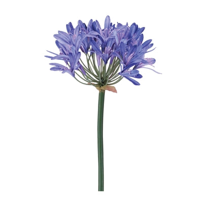 Agapanthus Stem 26”H Polyester