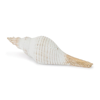 Shell 10"L x 2.5"H Resin
