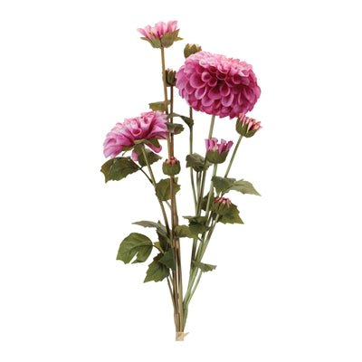 Zinnia Bundle 23.5”H Polyester