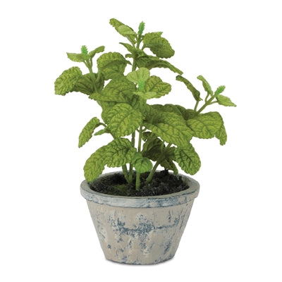 Potted Mint 7”H Polyester/Cement