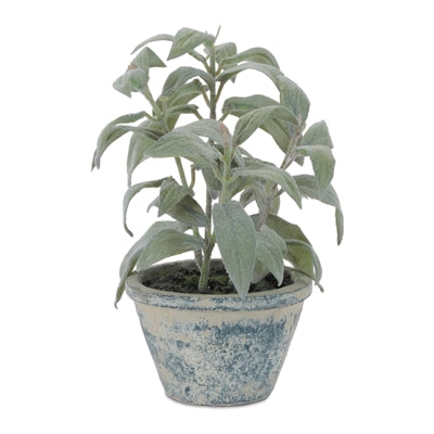 Potted Dusty Miller 7”H Polyester/Cement