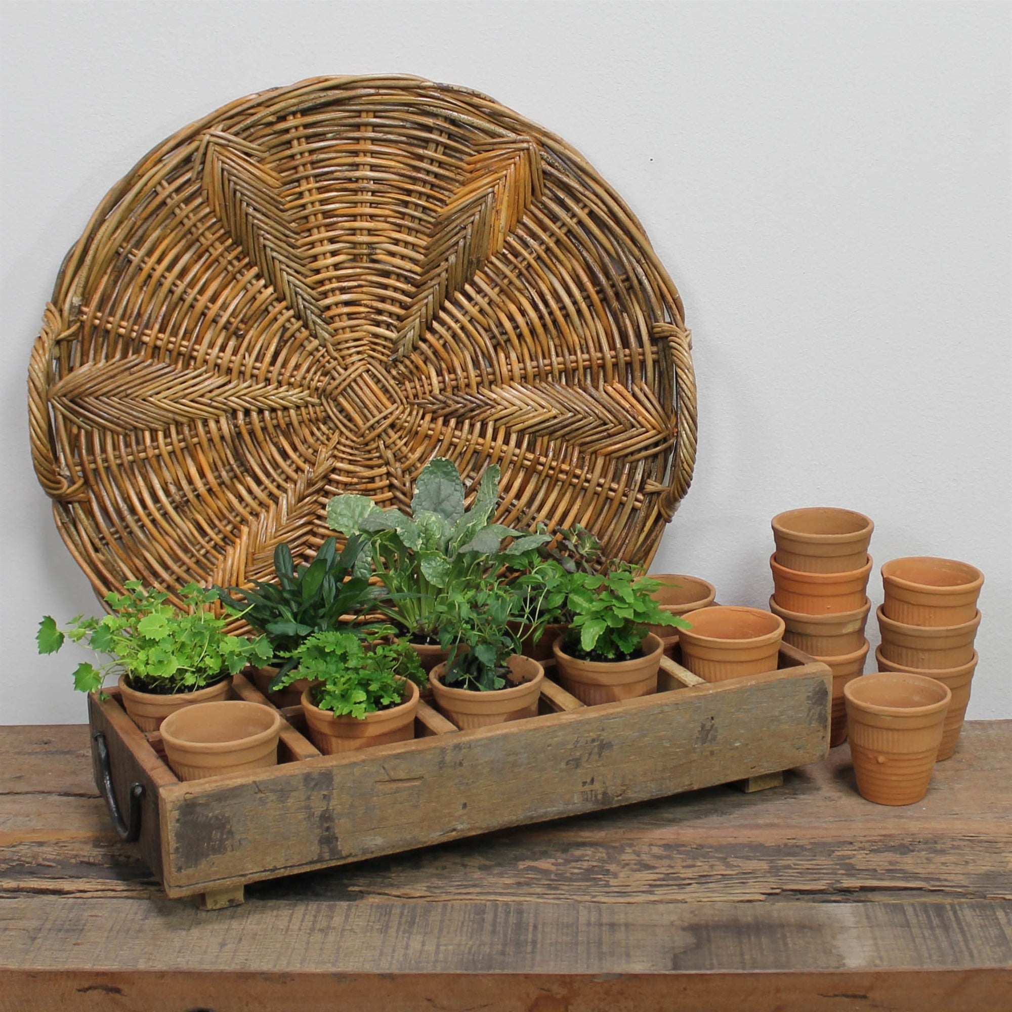 Wood Caddy w/ Pots