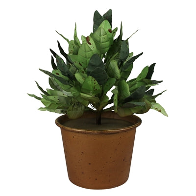 Potted Greens, Aluminum