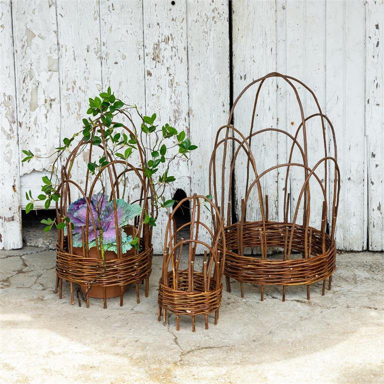 Woven Willow Cloche Trellis