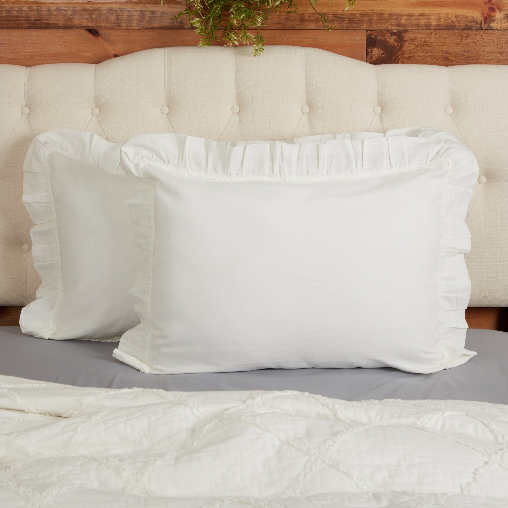 Kathryn Standard Sham 27Lx21W
