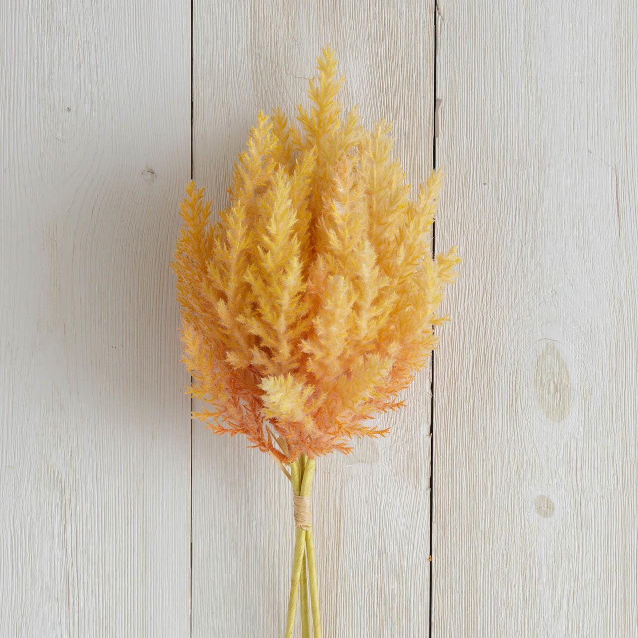 Orange Pampas Plumes (S/2)