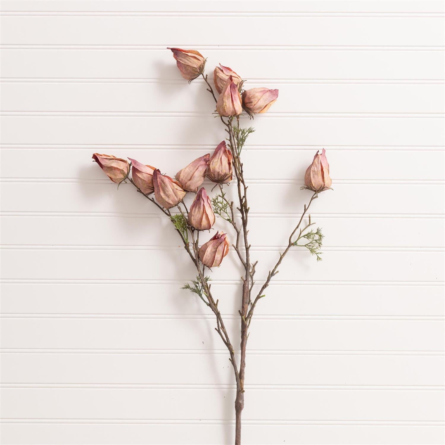 Spray - Withered Chinese Lantern Purple