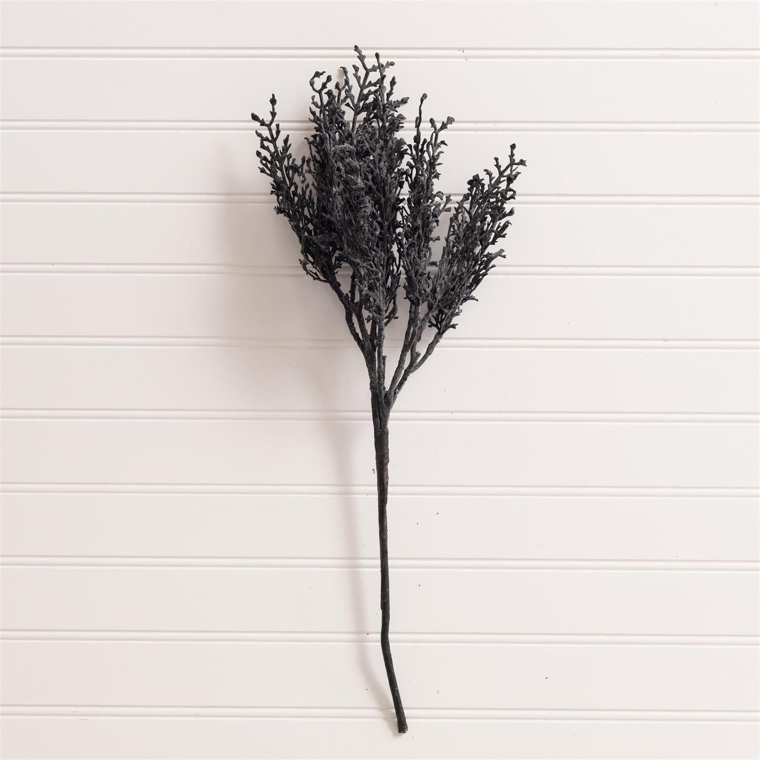 Pick - Halloween Black Filler Spray