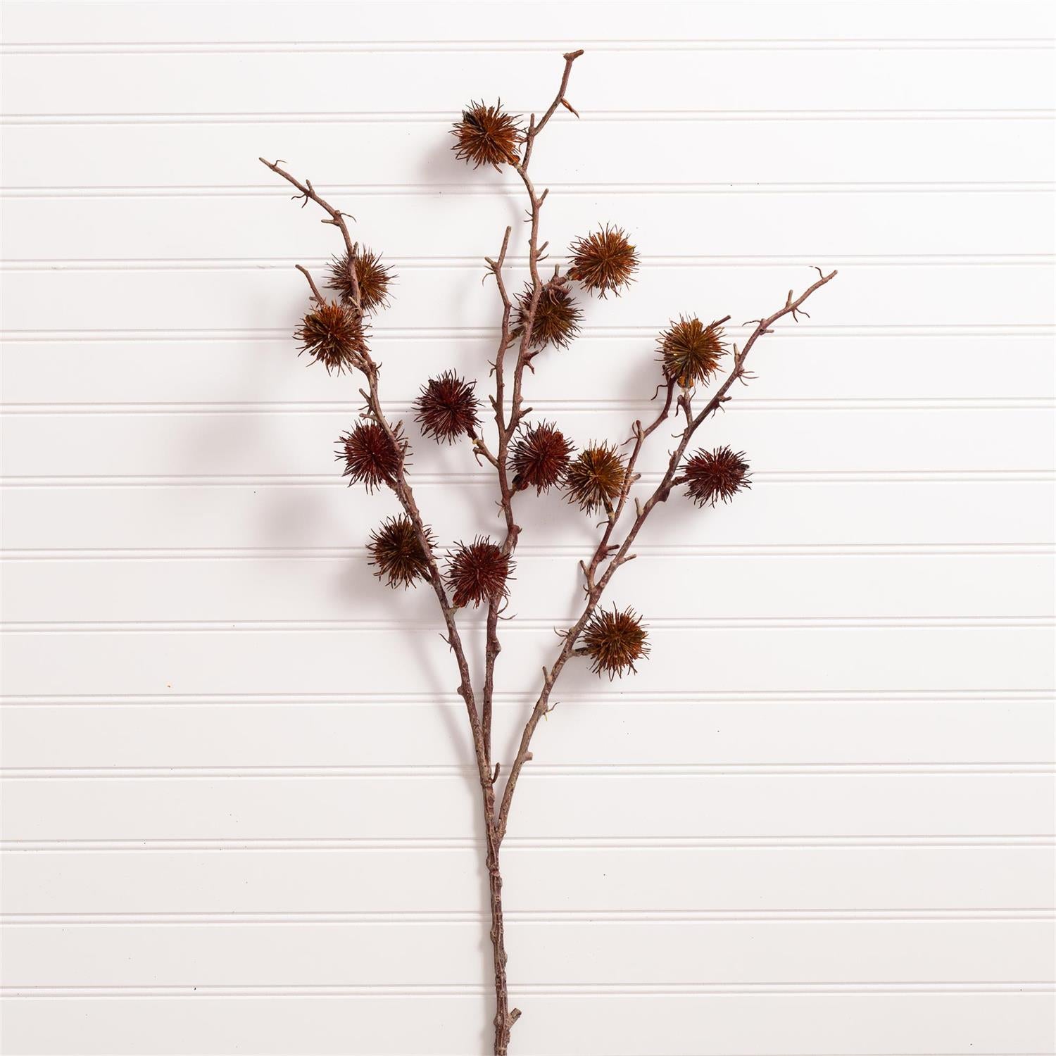 Spray - Gum Pod, Brown