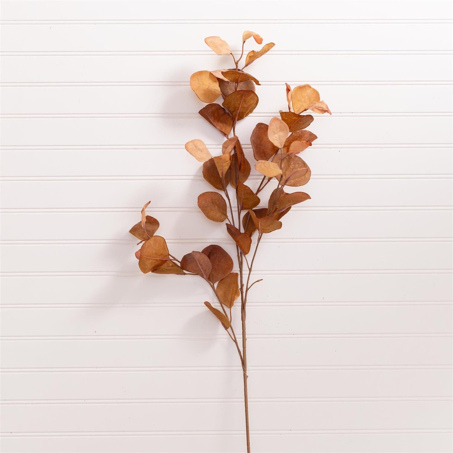 Spray - Eucalyptus Leaves, Brown