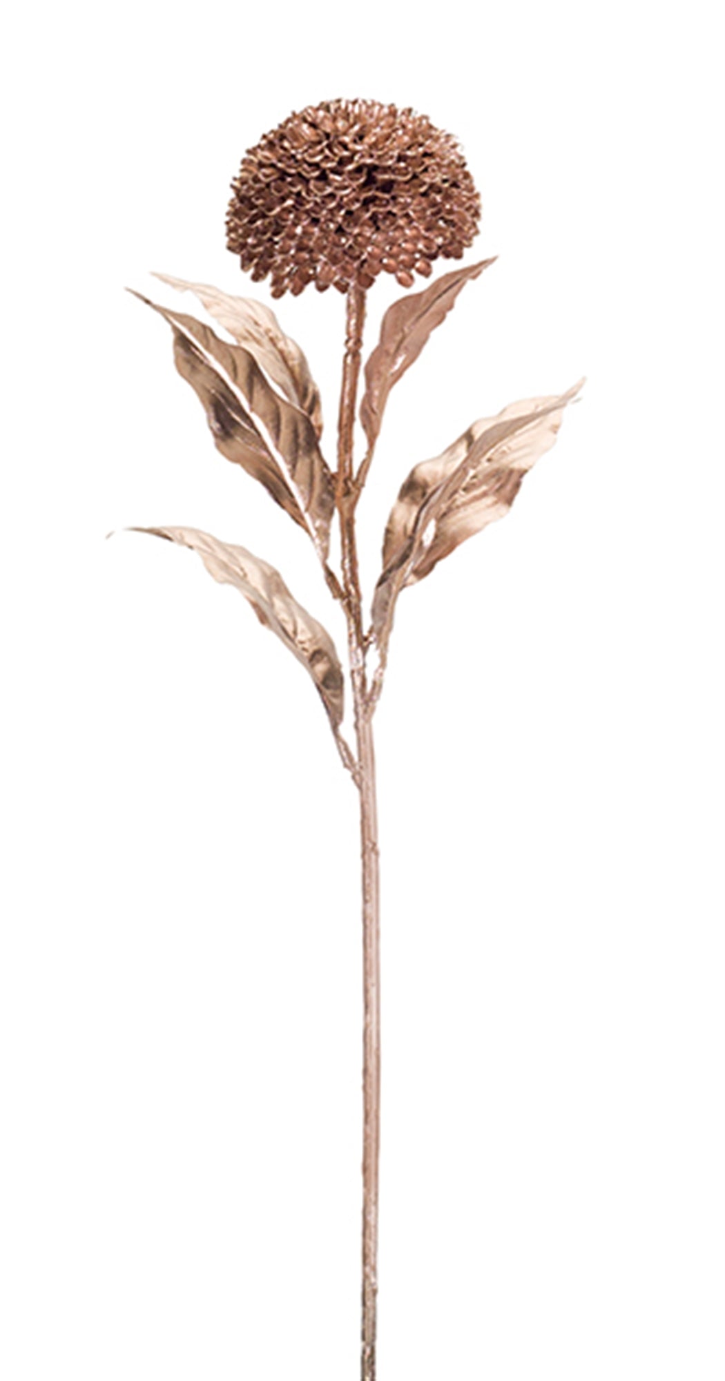 Rose Gold Allium Stem (Set of 12)