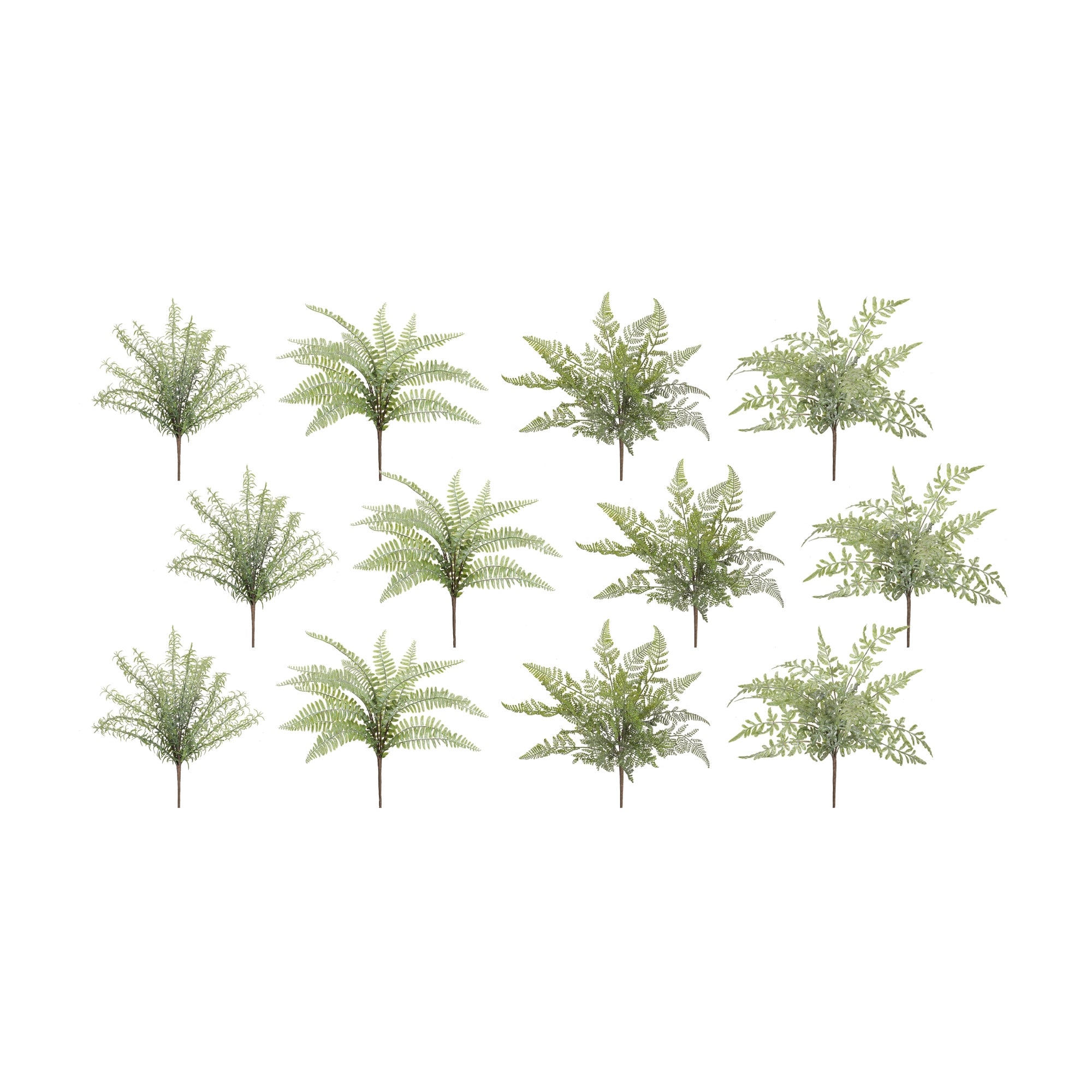 Assorted Fern Foliage Bush (Set of 12)