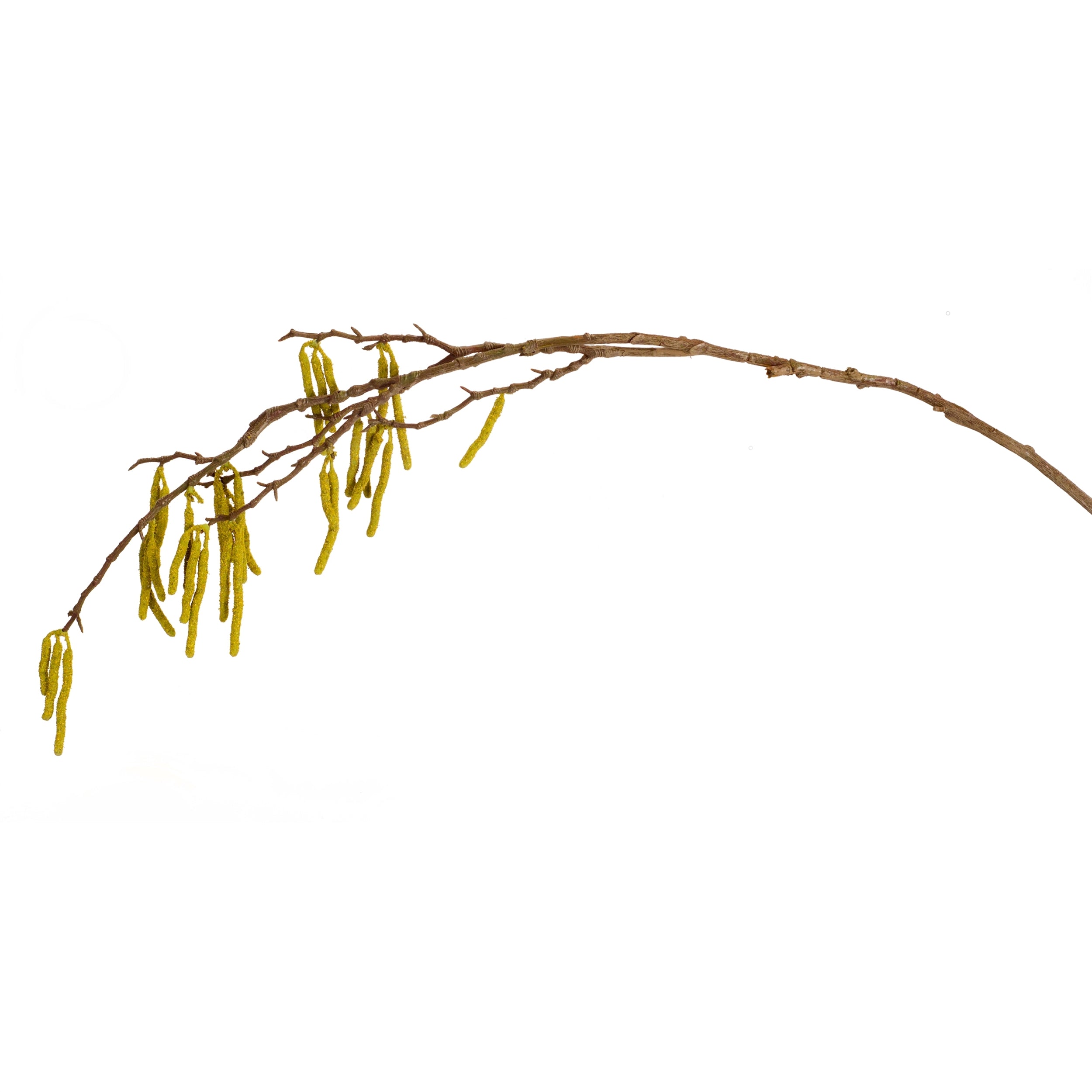 Catkin Twig Branch (Set of 6)