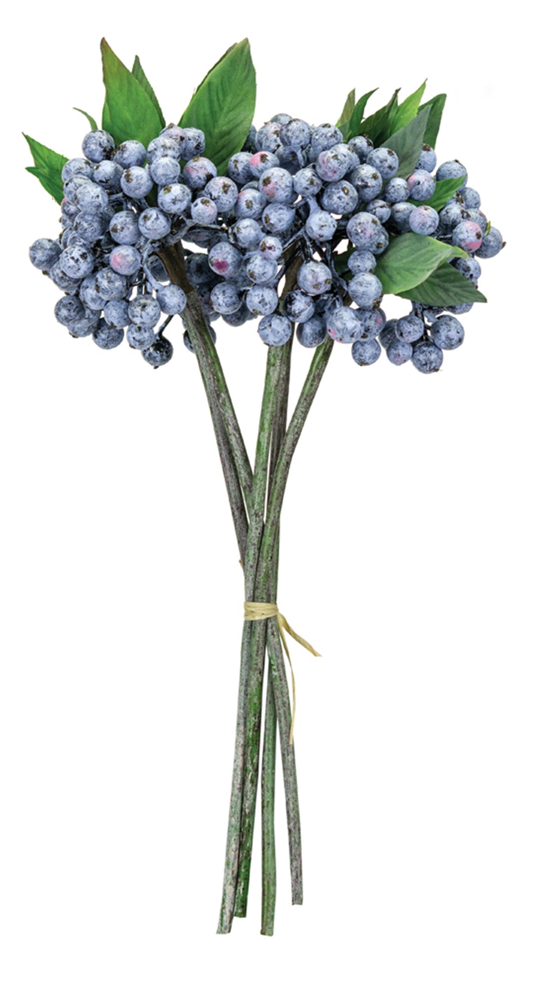 Berry Bundle 12"H /Foam