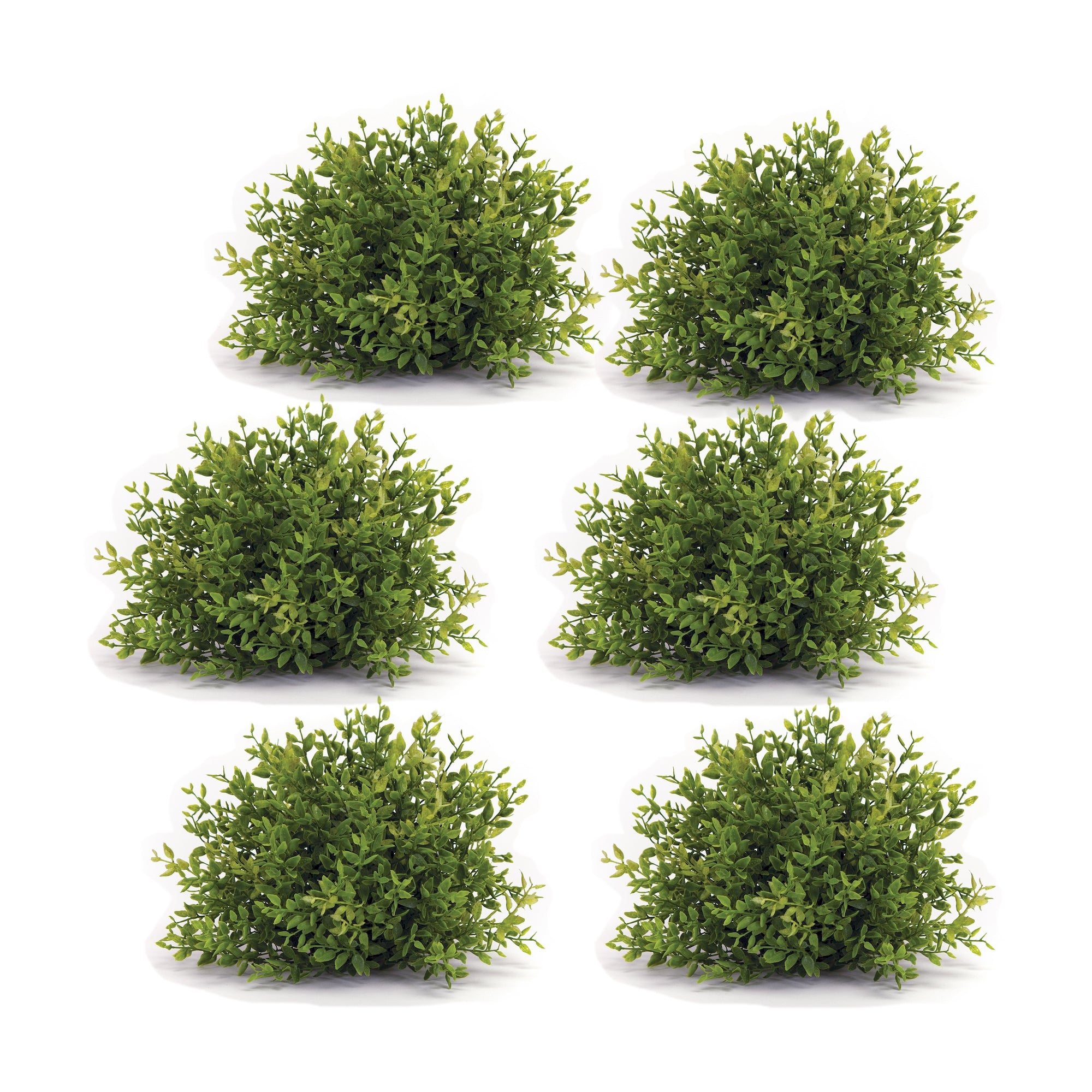 Spring Mini Leaf Foliage Half Orb (Set of 6)