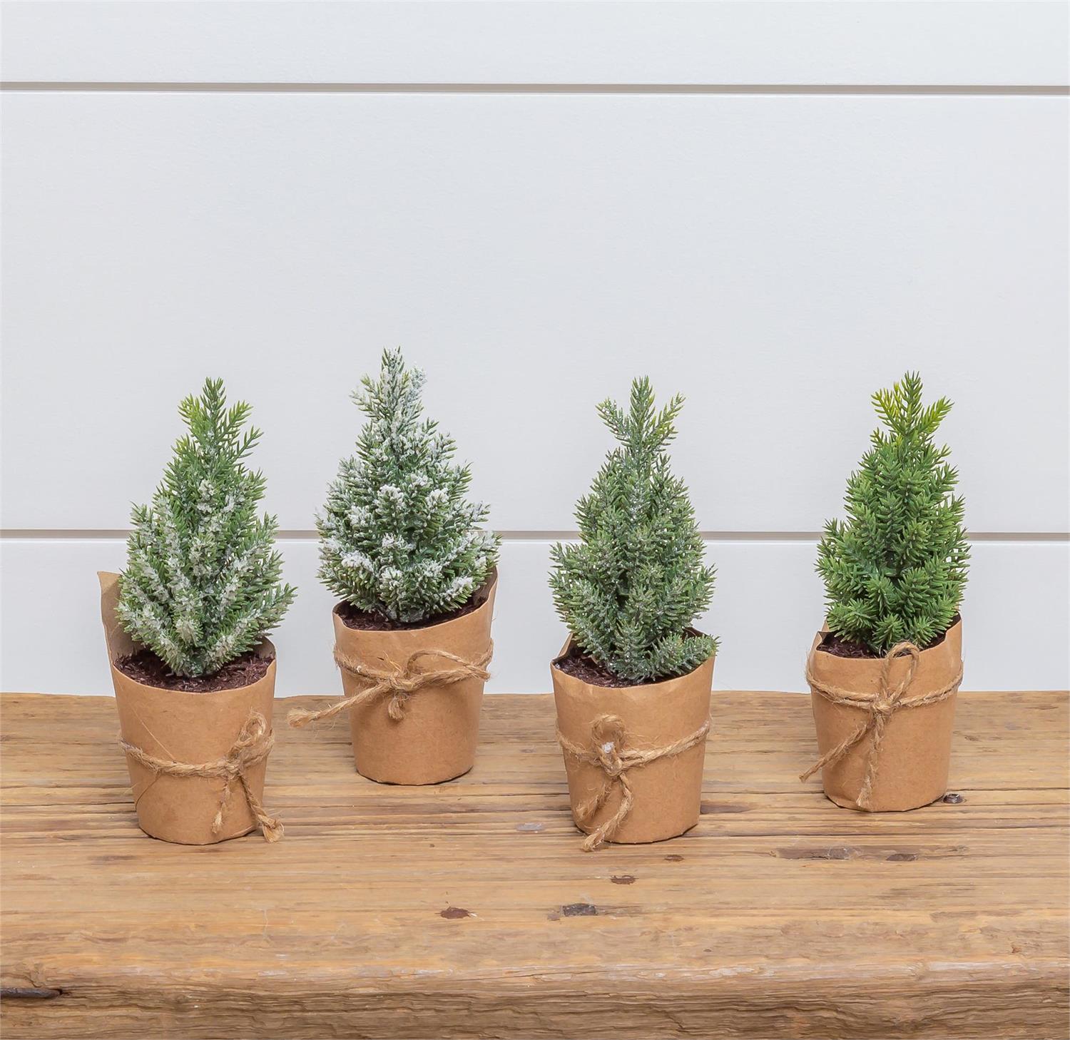 Wrapped Seedling Trees (S/4)