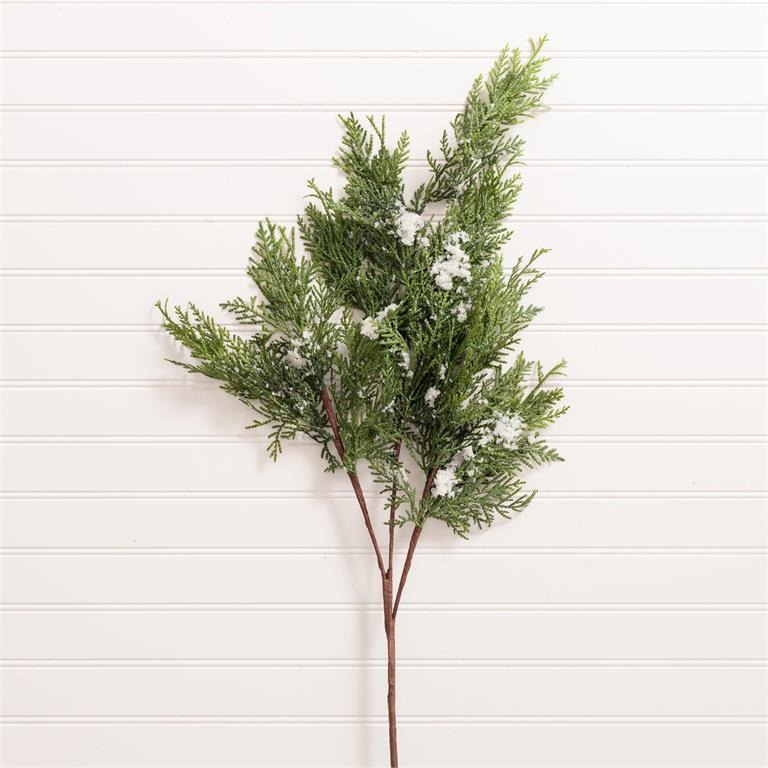 Pine With Snow Spray