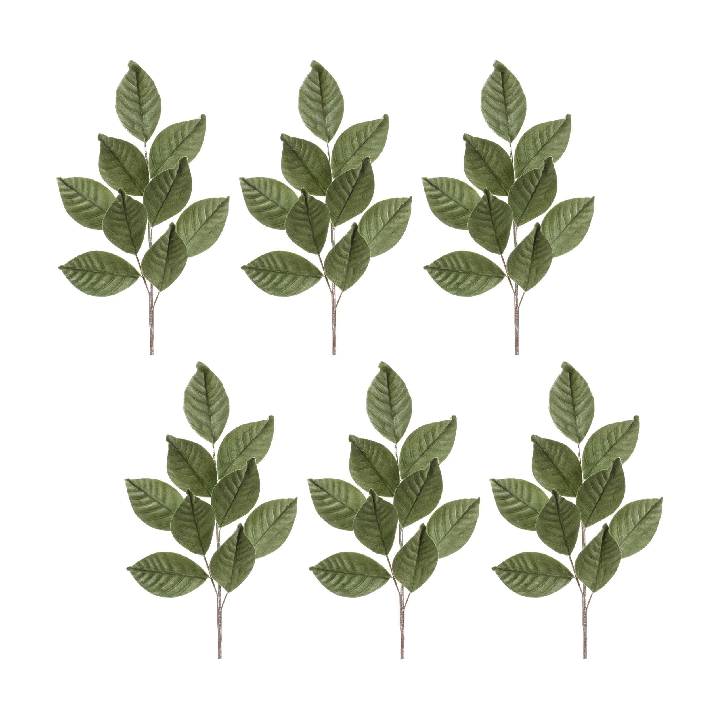 Green Flocked Magnolia Leaf Spray (Set of 6)