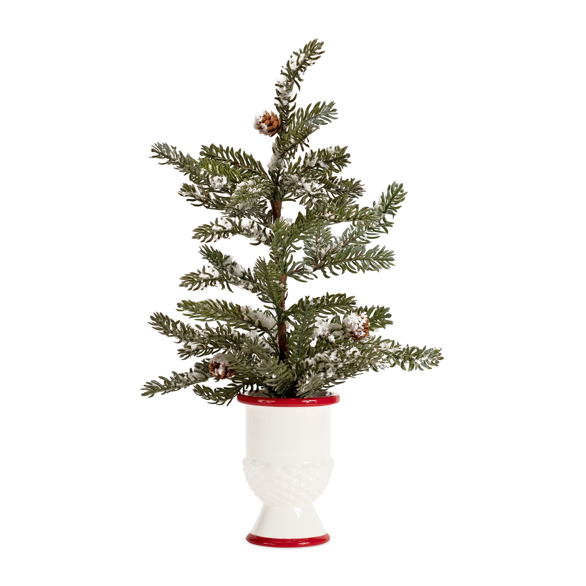 Mini Pine Tree with Ceramic Pot (Set of 2)