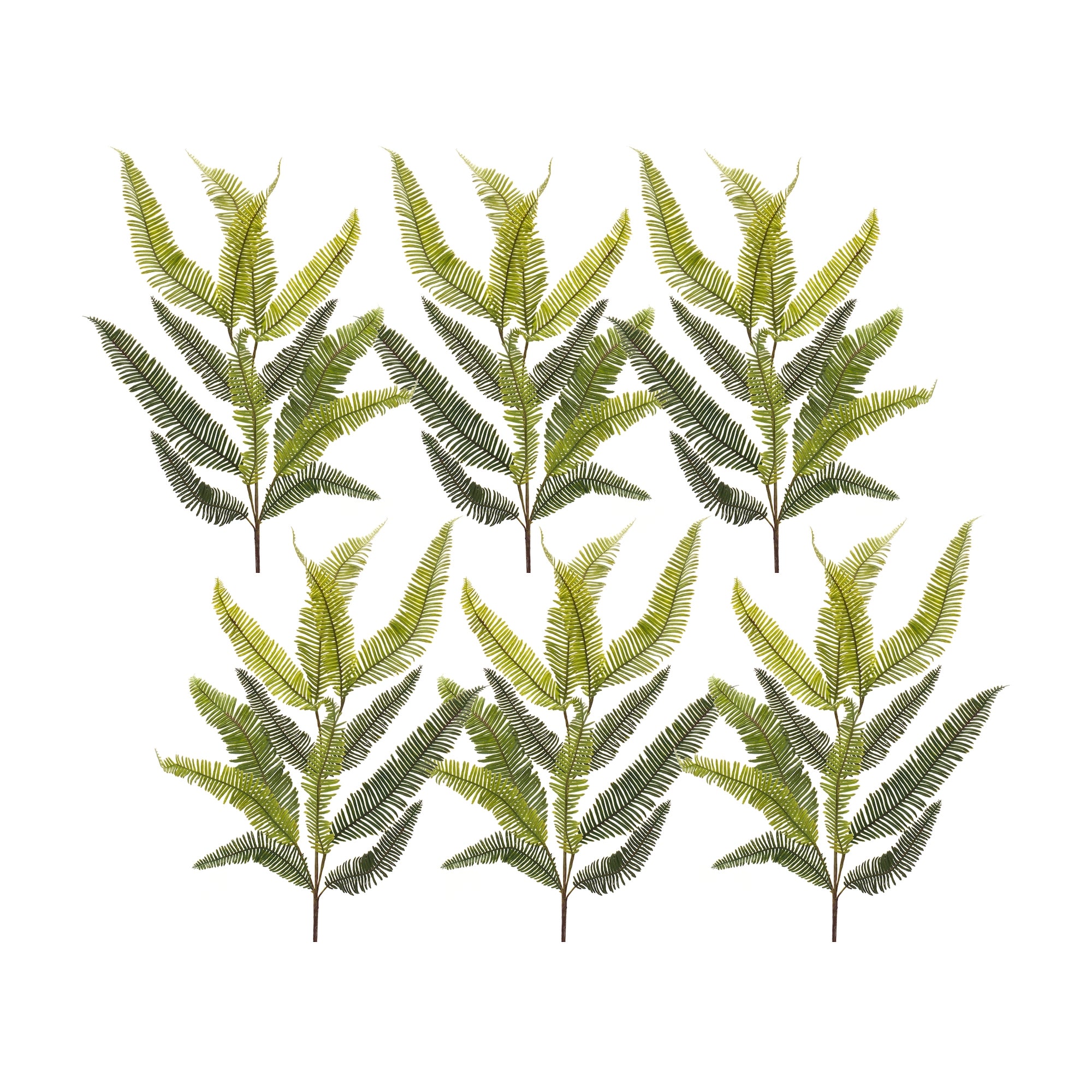 Varigated Fern Foliage Spray (Set of 6)