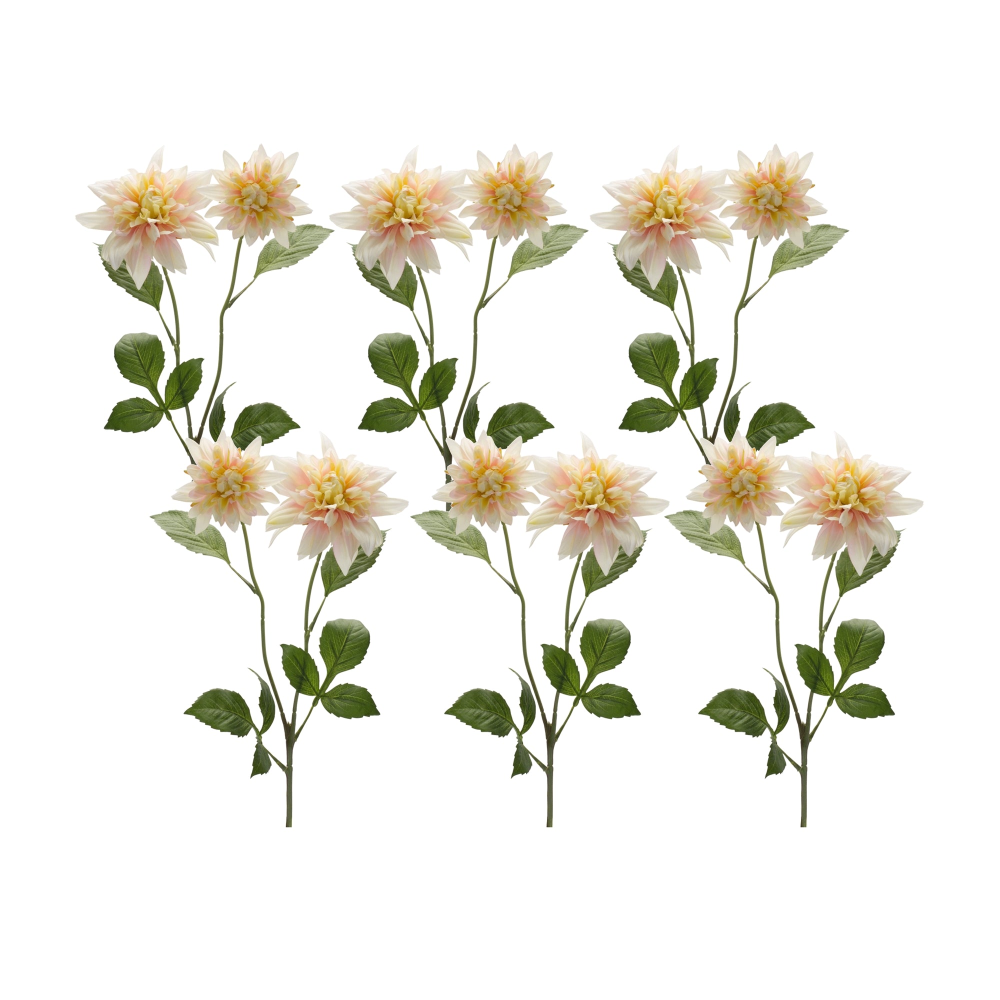 Blush Pink Dahlia Flower Stem (Set of 6)