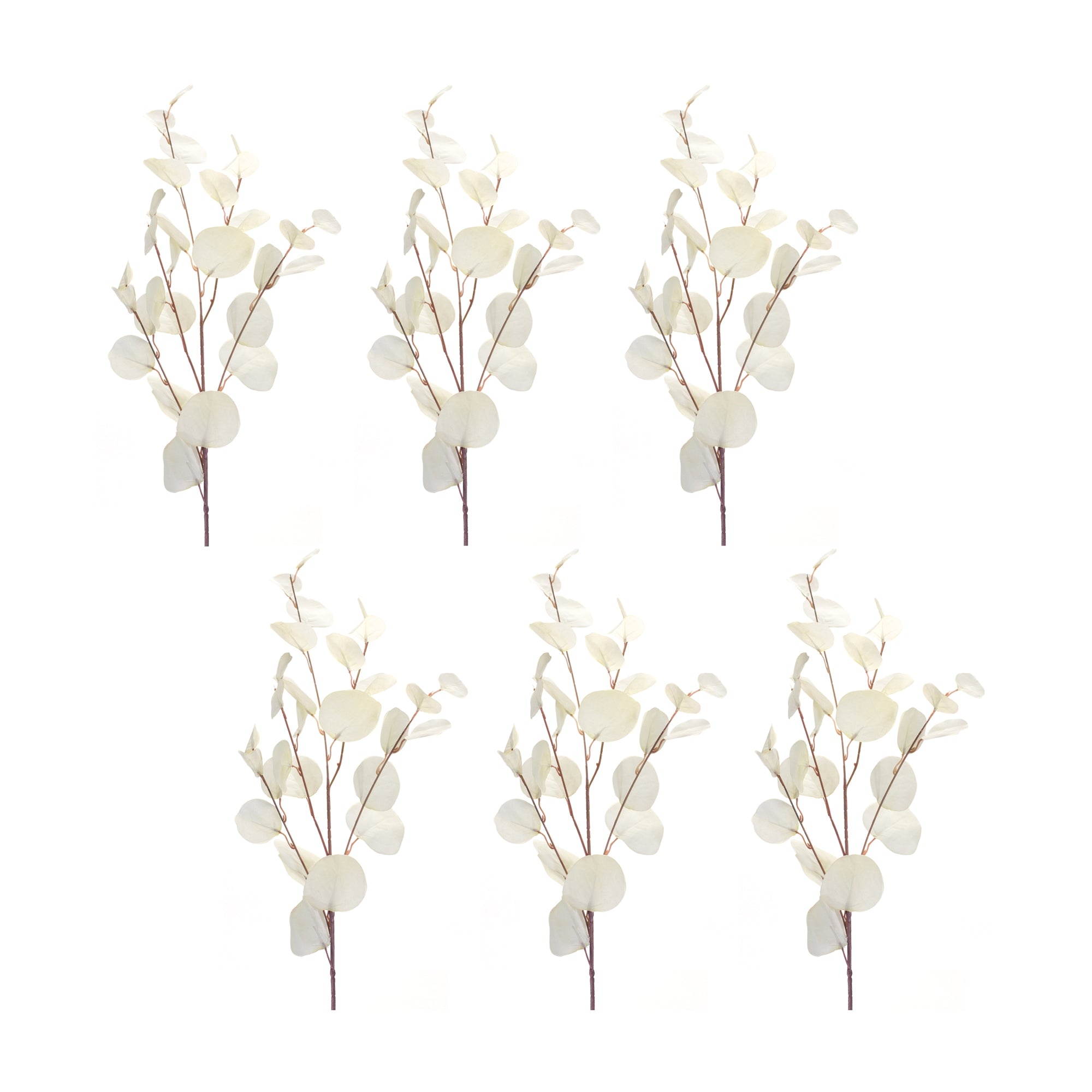 Ivory Silver Dollar Eucalyptus Leaf Spray (Set of 6)