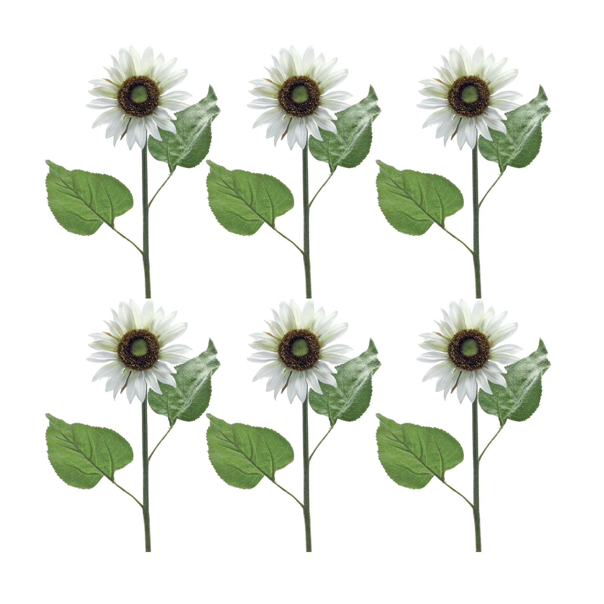 White Sunflower Floral Stem (Set of 6)