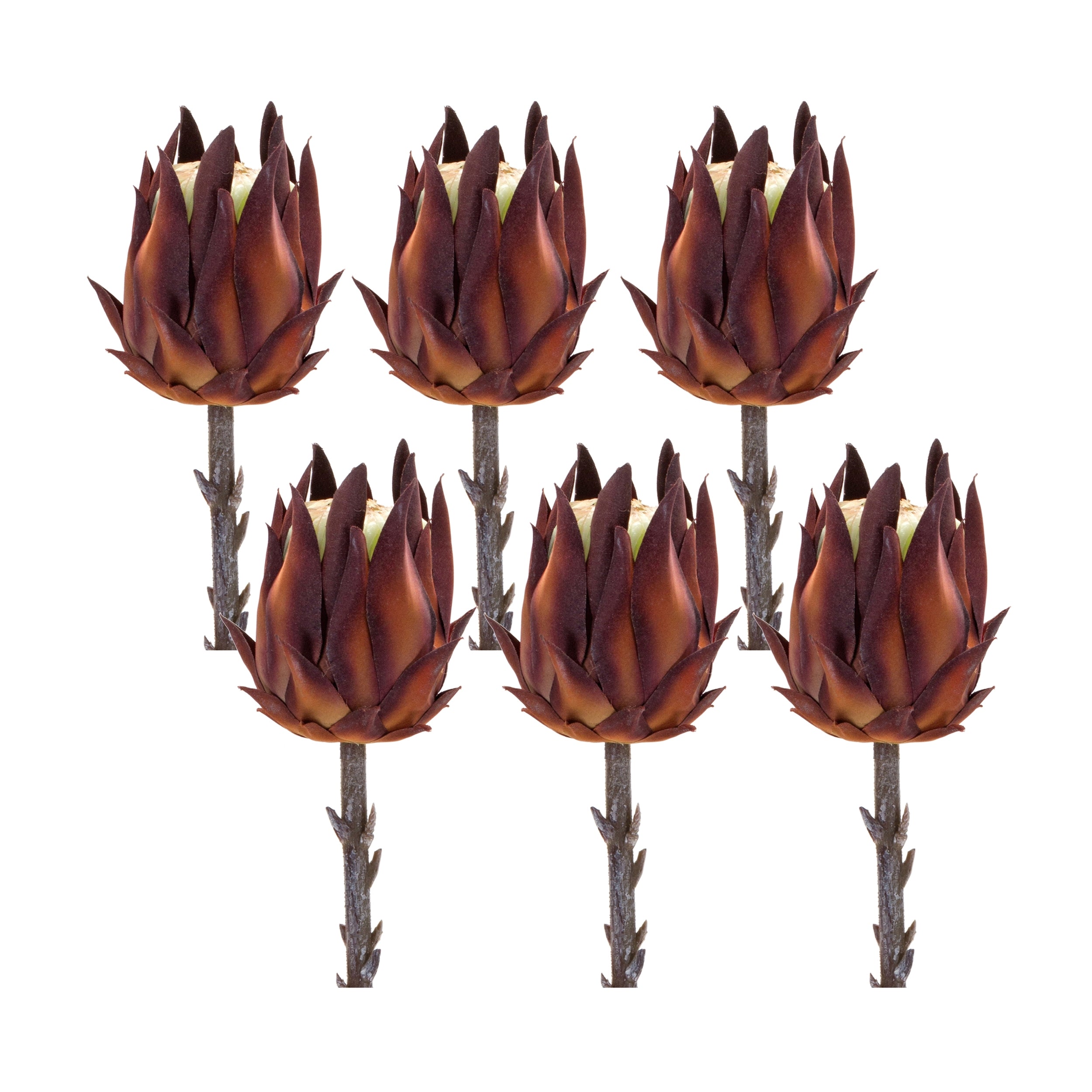 Burgandy Protea Stem (Set of 6)