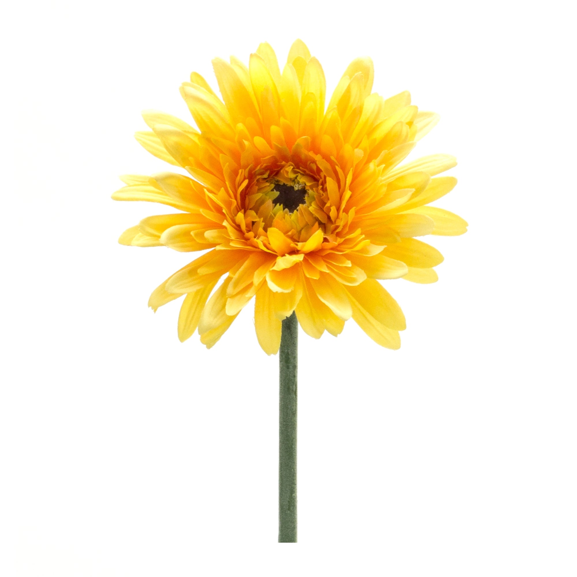 Gerbera Daisy Stem 22”H Polyester