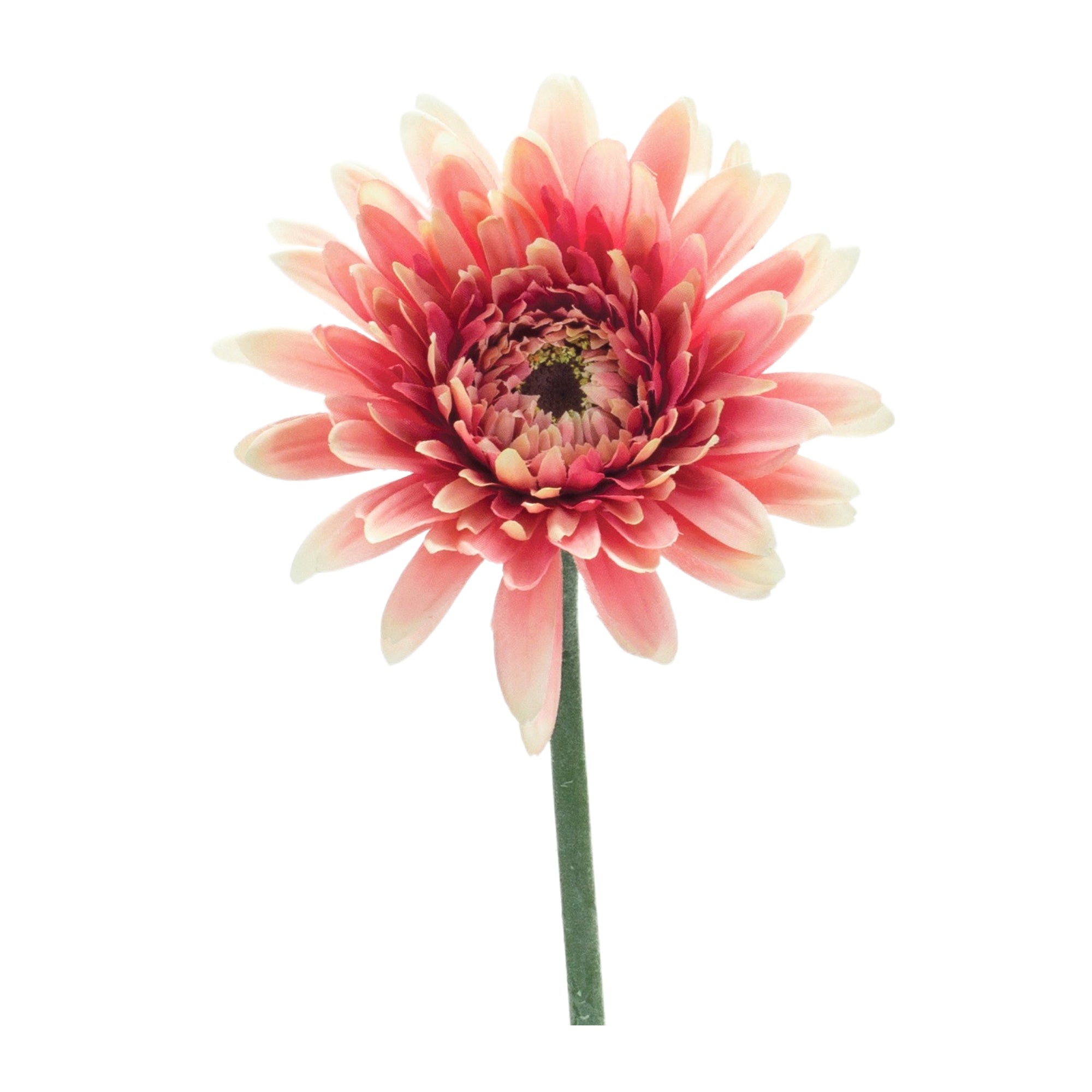 Gerbera Daisy Floral Stem (Set of 6)