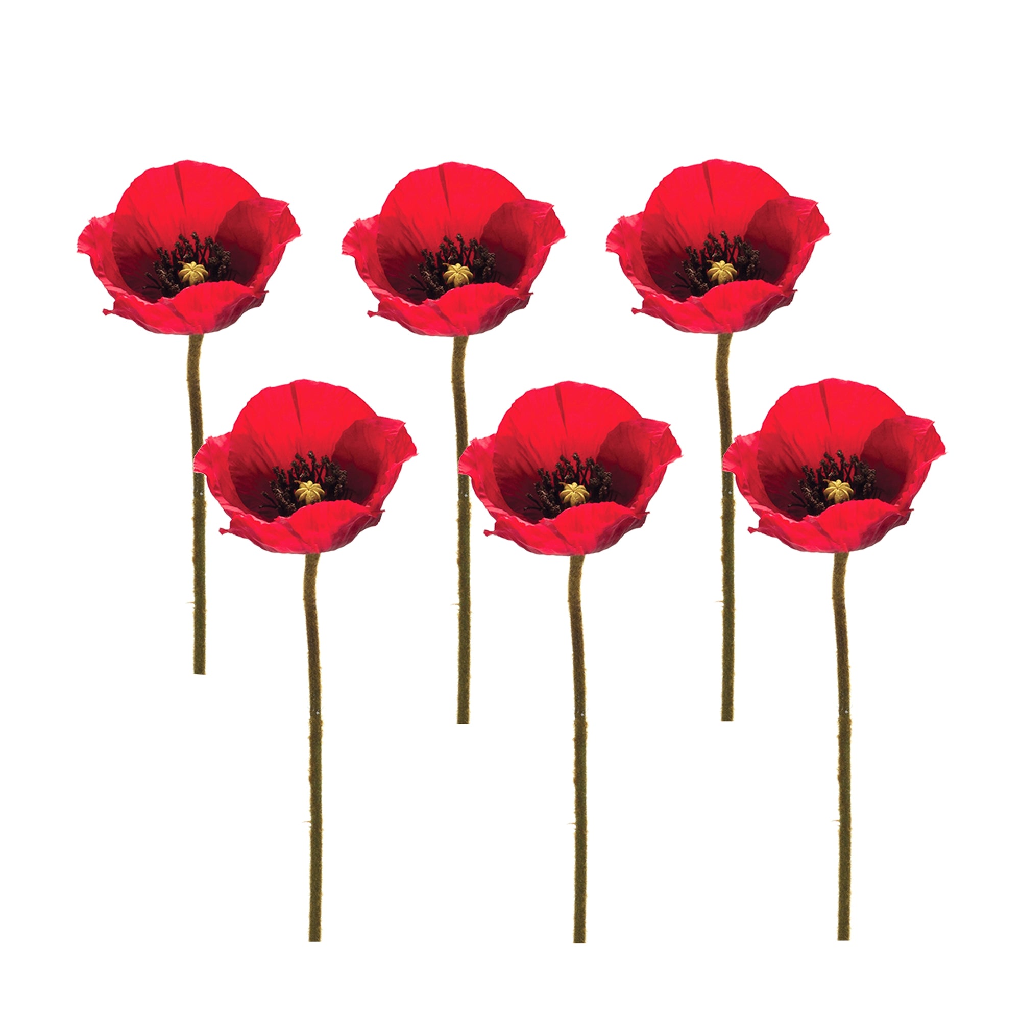 Bright Red Poppy Flower Stem (Set of 6)