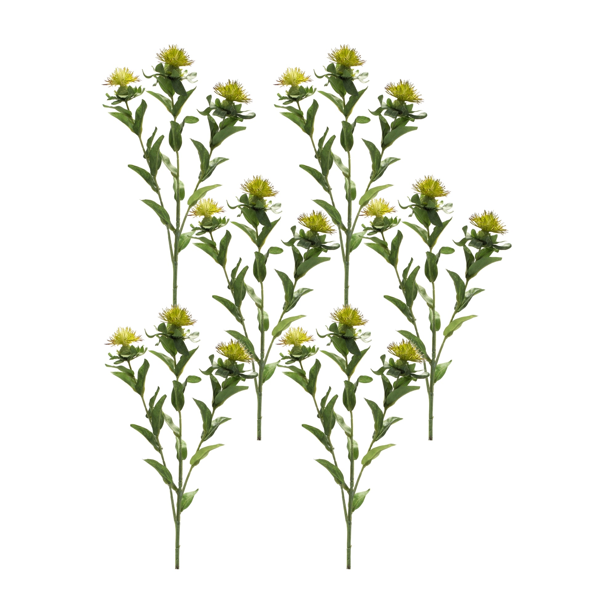 Green Thistle Floral Spray (Set of 6)