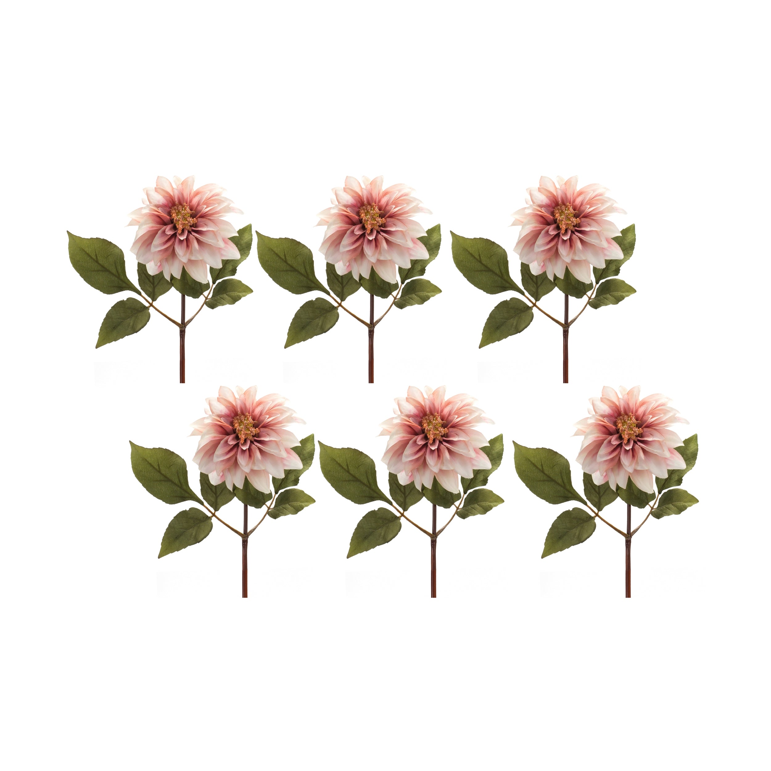 Blush Pink Dahlia Flower Stem (Set of 6)