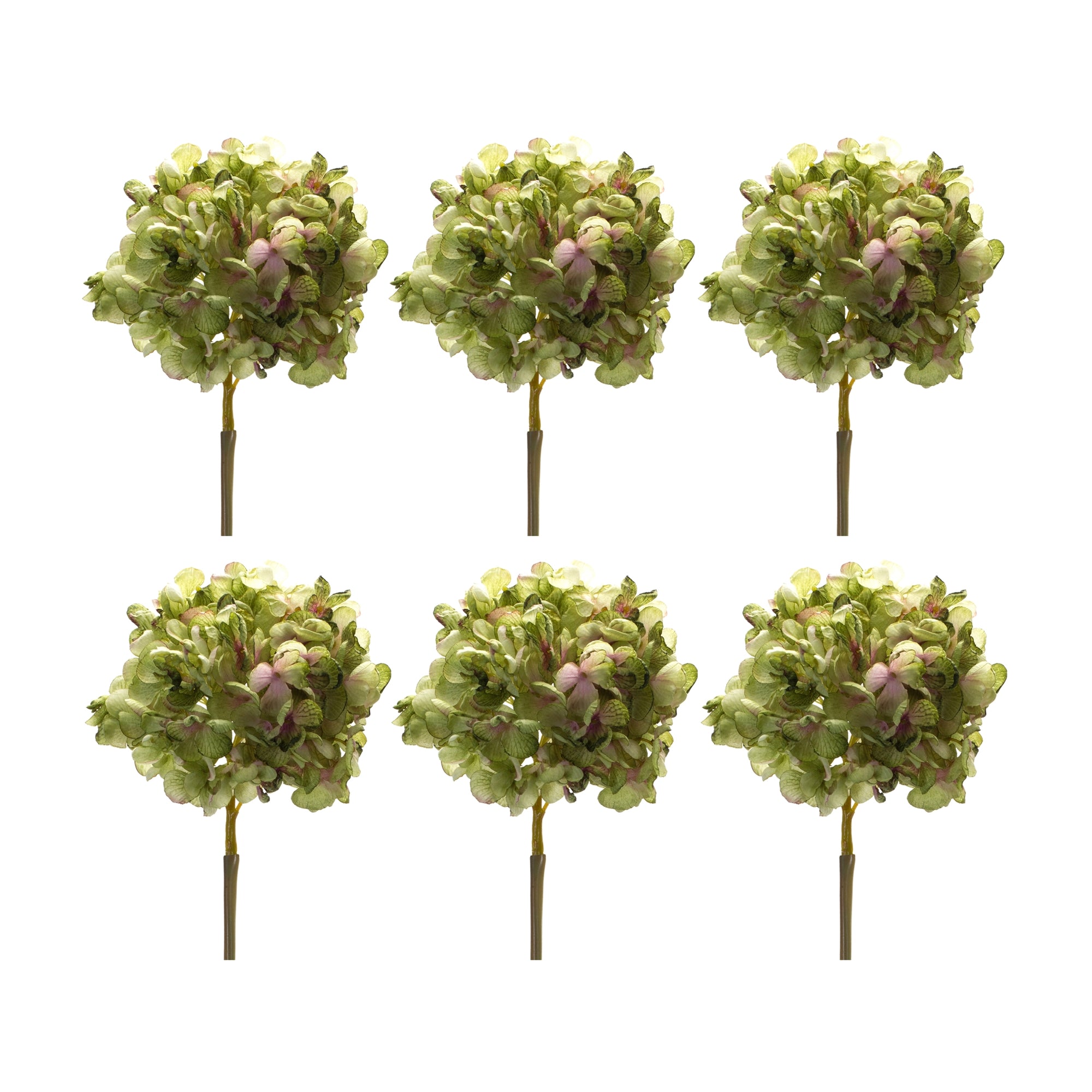 Green Hydrangea Flower Stem (Set of 6)