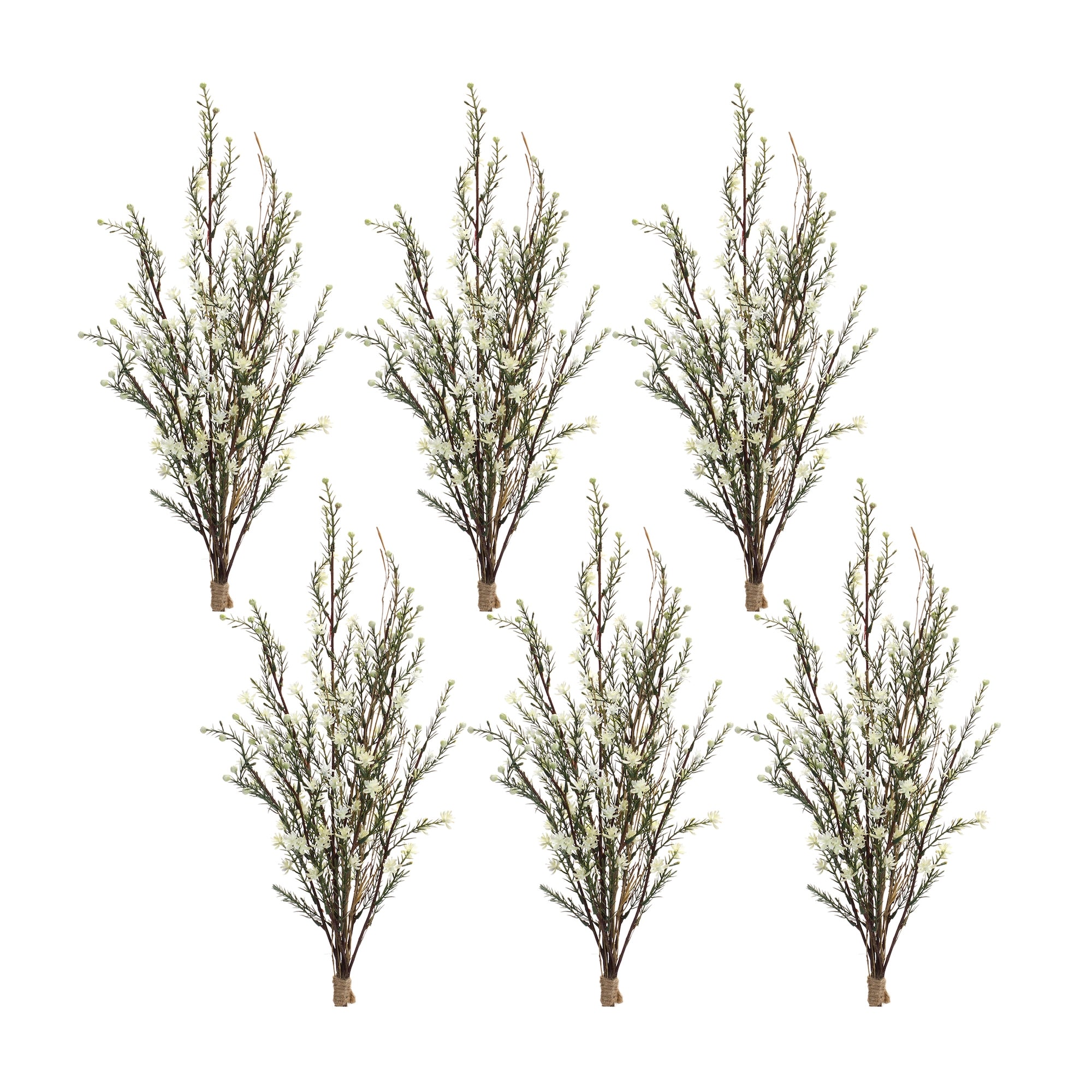 Leptospermum Flower Bundle (Set of 6)