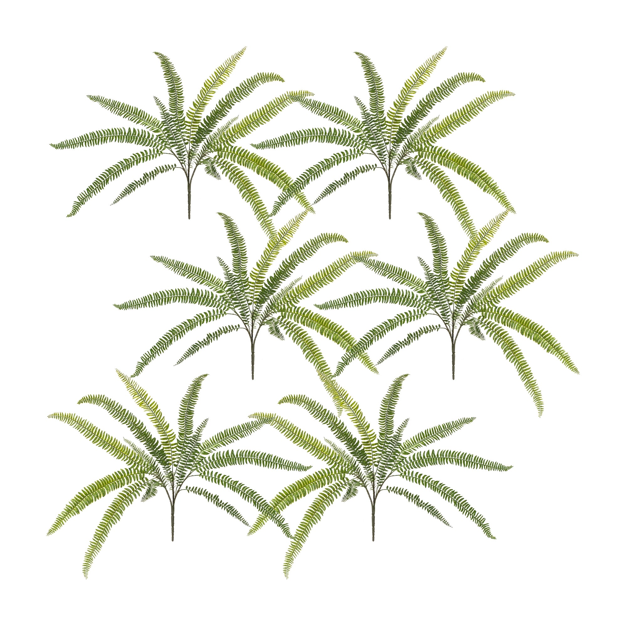 Fern Foliage Bush (Set of 6)