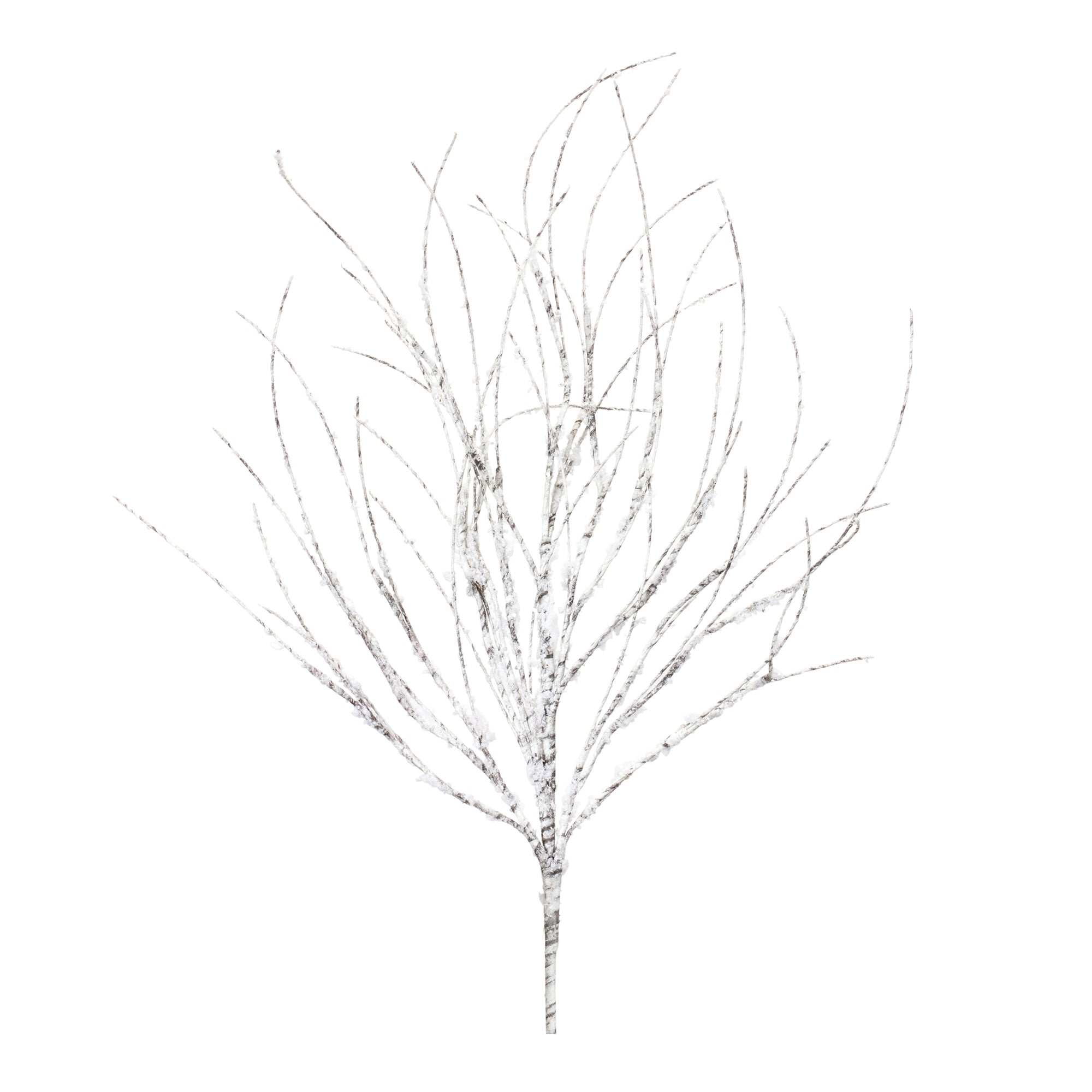 Flocked Birch Twig Branch (Set of 12)