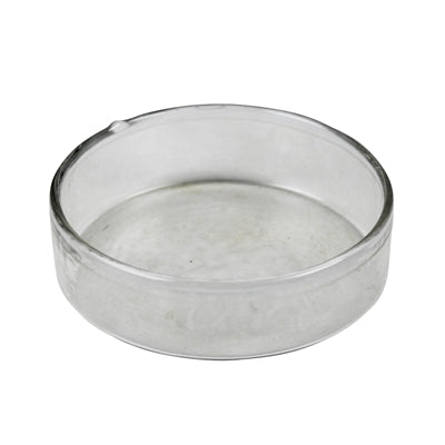 Glass Trivet - 4”