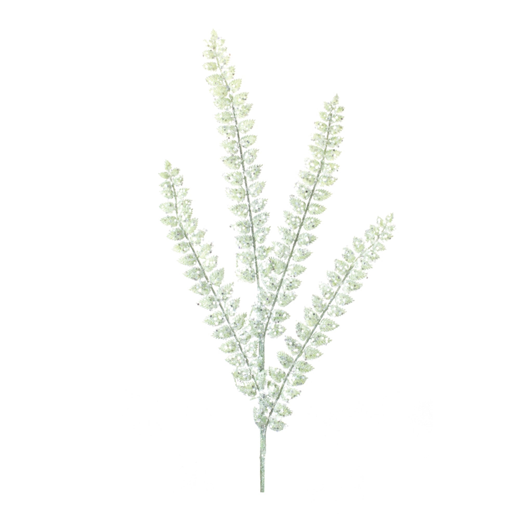 Glittered Fern Spray (Set of 24)