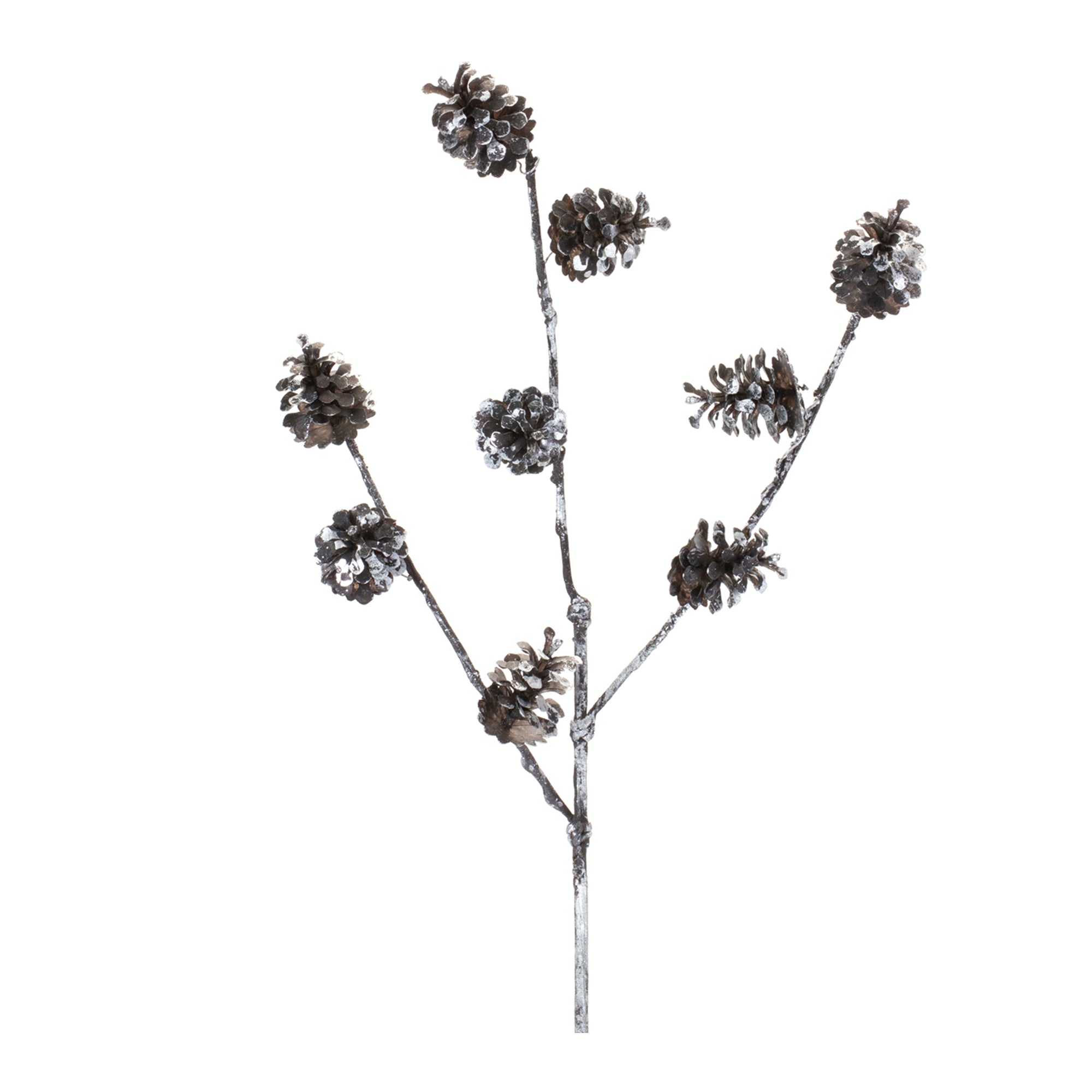 Pine Cone Spray (Set of 12)