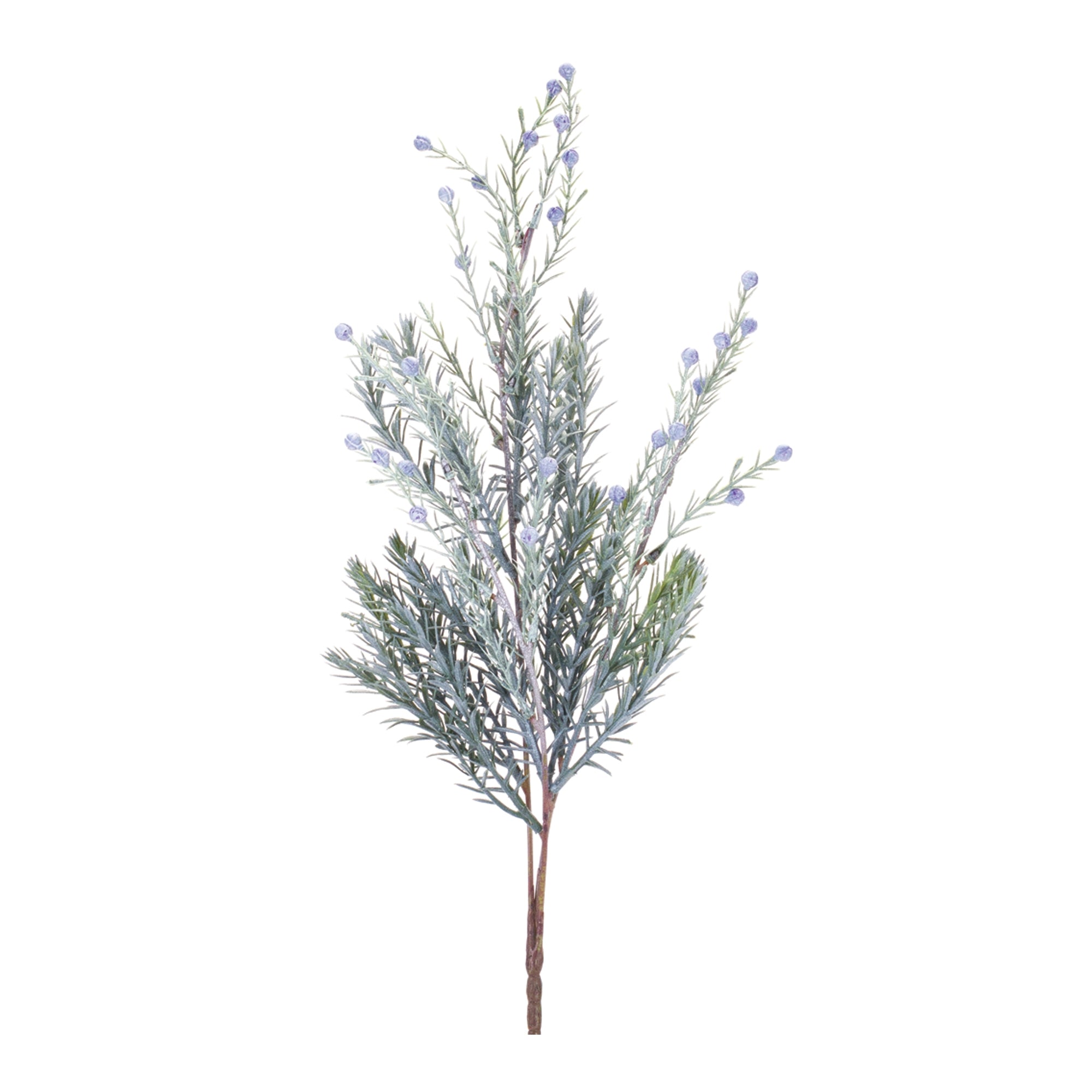 Pine Spray (Set of 6)