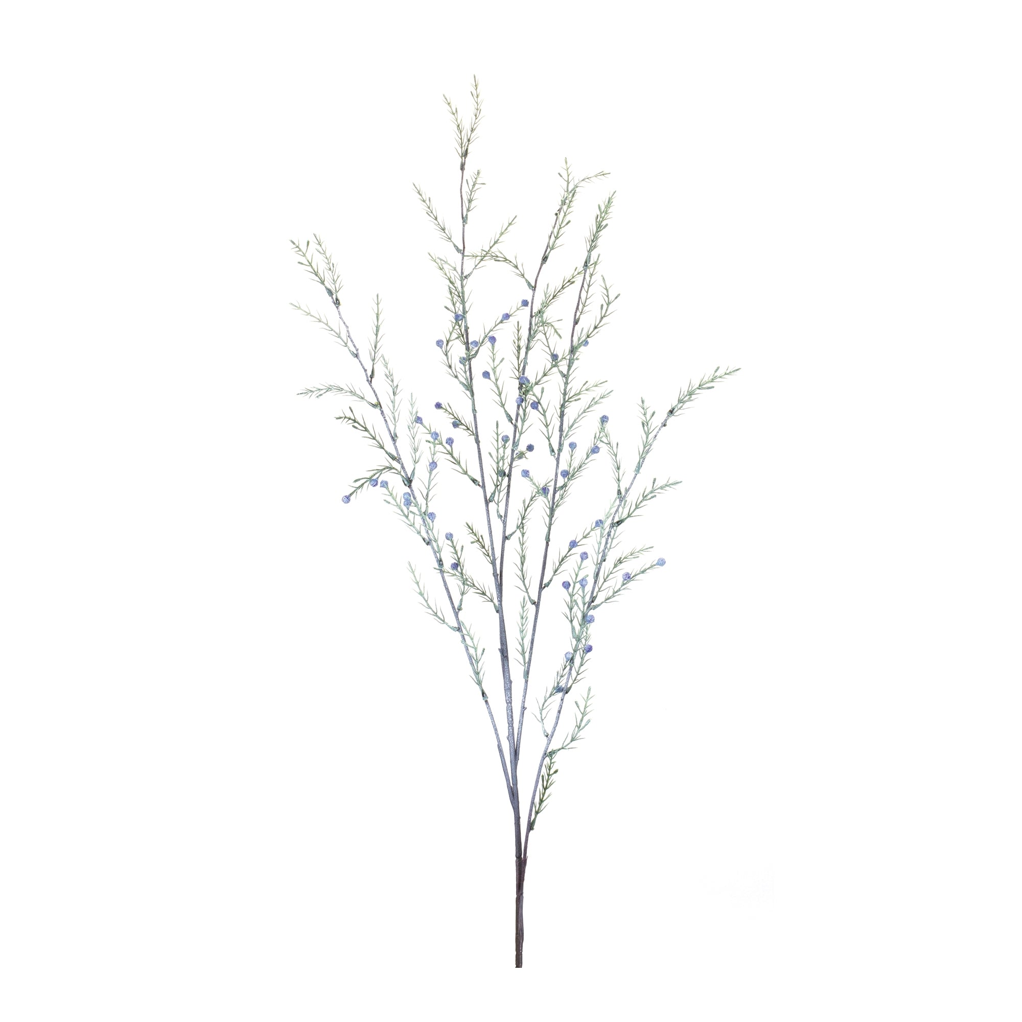 Pine Branch (Set of 12)