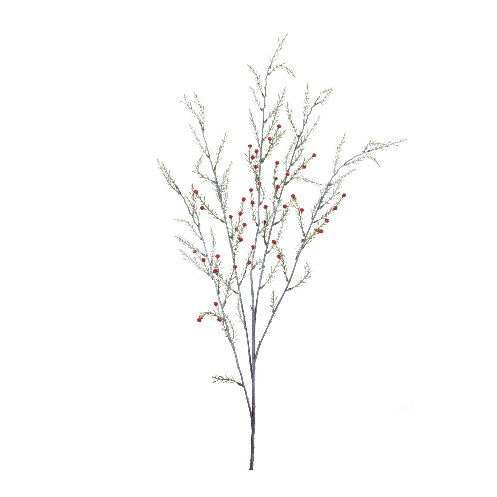 Pine Branch (Set of 12)