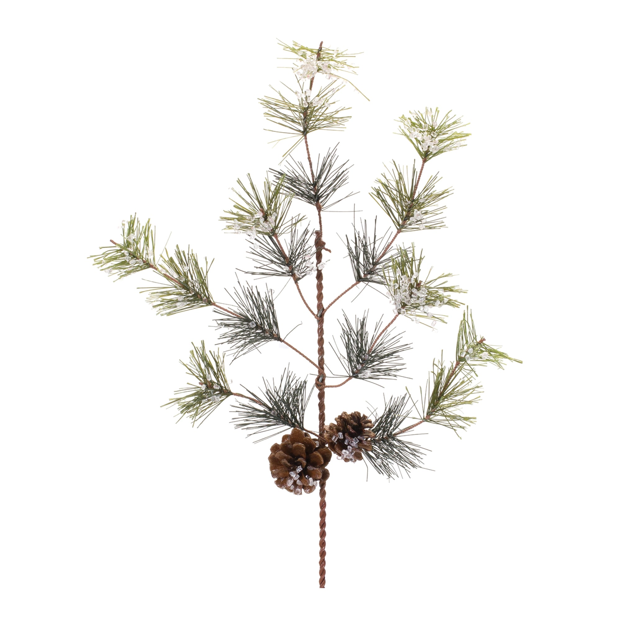 Pine Spray (Set of 6)