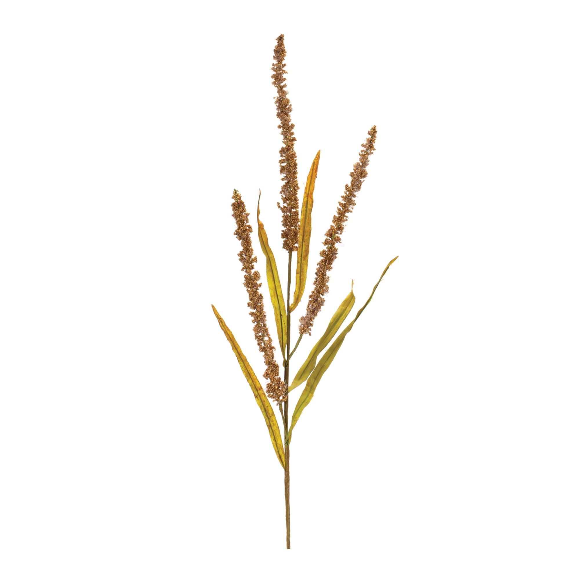 Seeded Plume Spray (Set of 12)