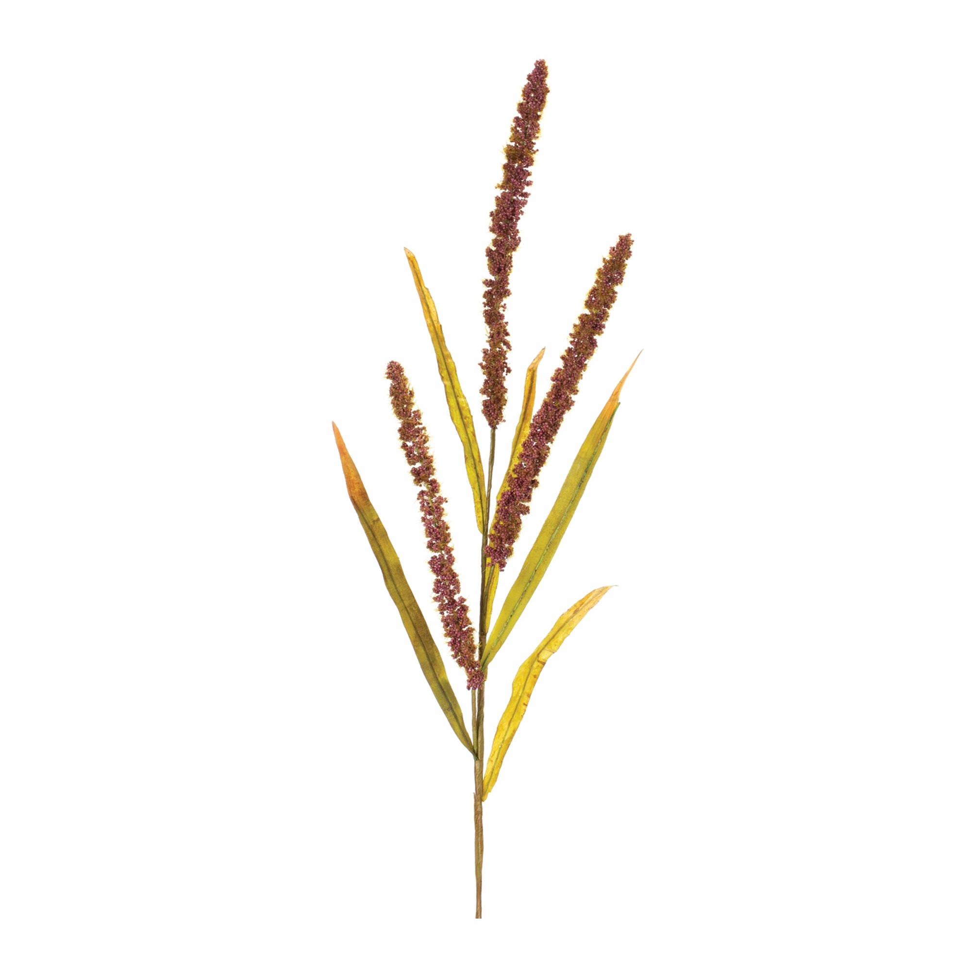 Seeded Plume Spray (Set of 12)