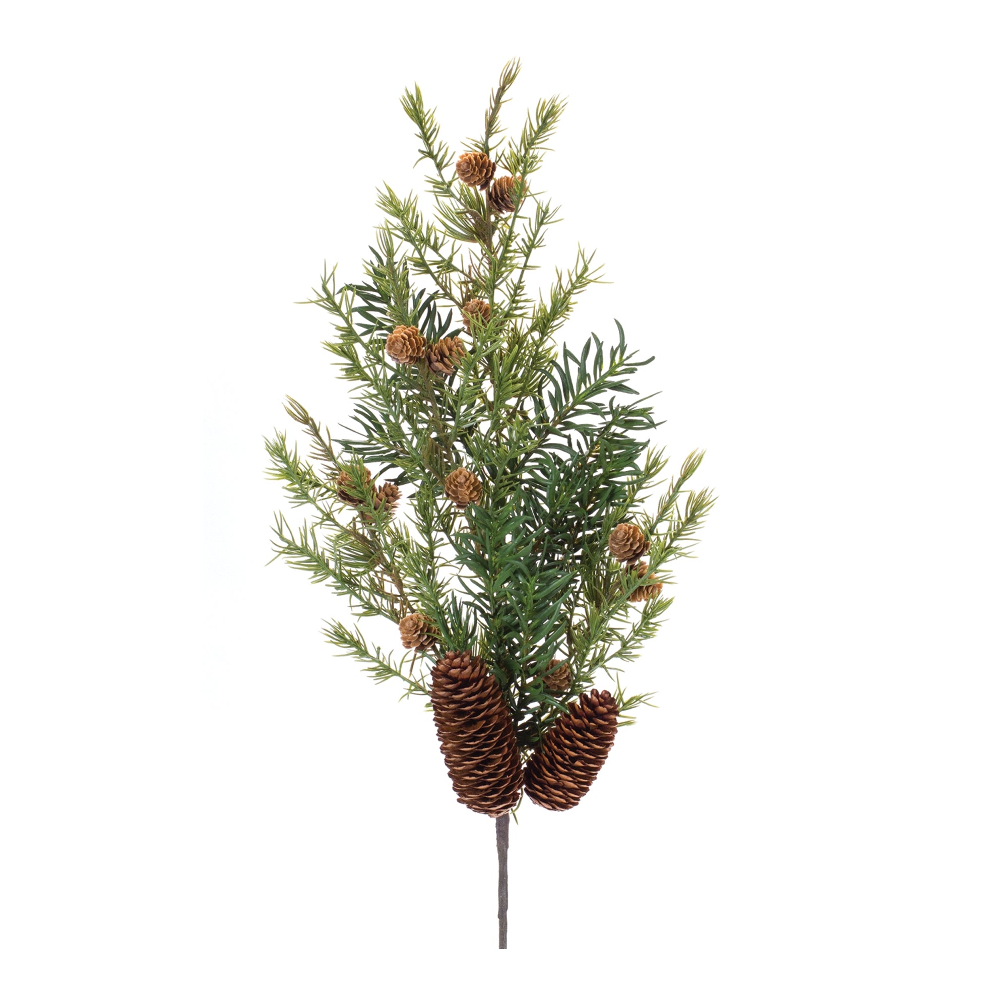 Pine Spray (Set of 6)