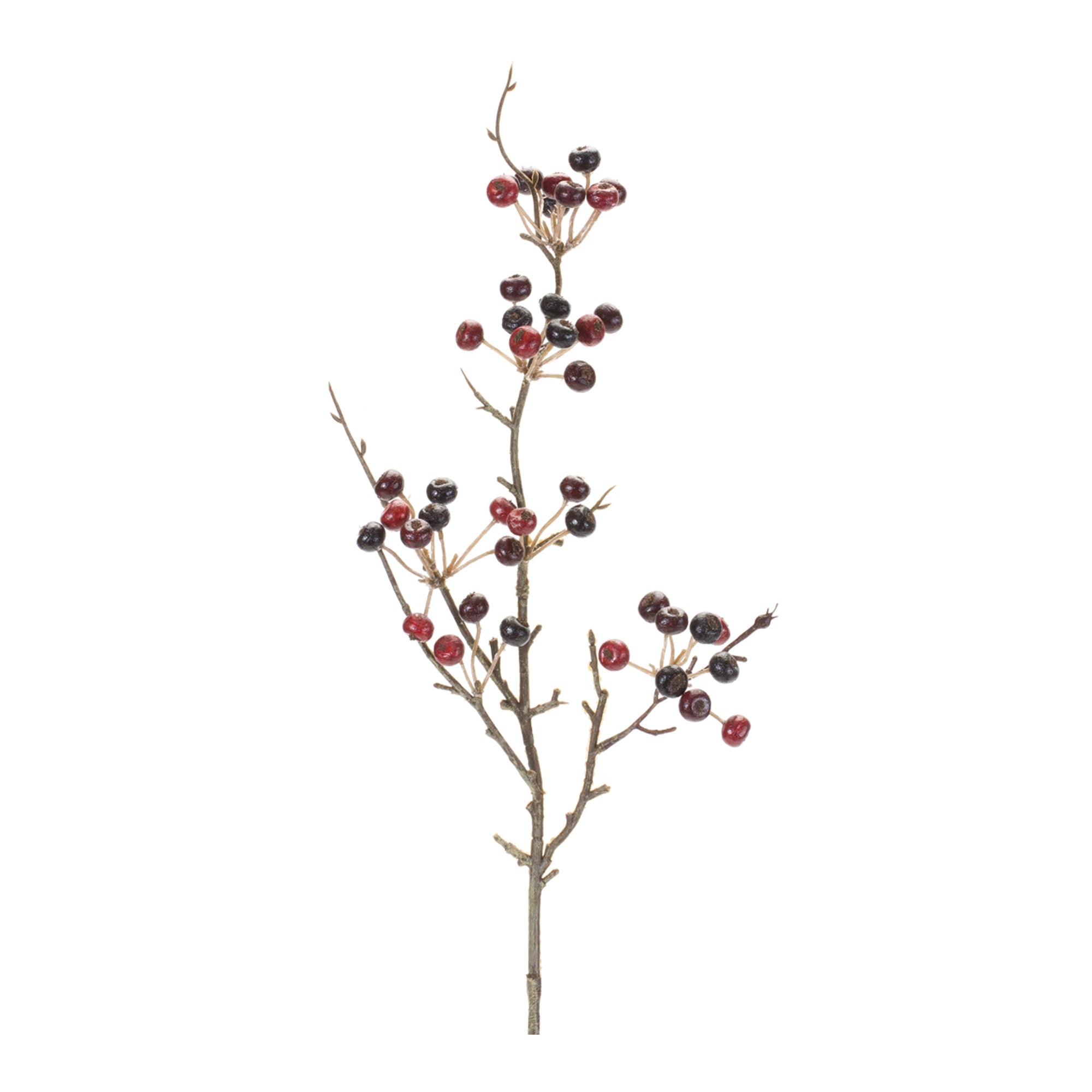 Berry Pod Spray (Set of 6)