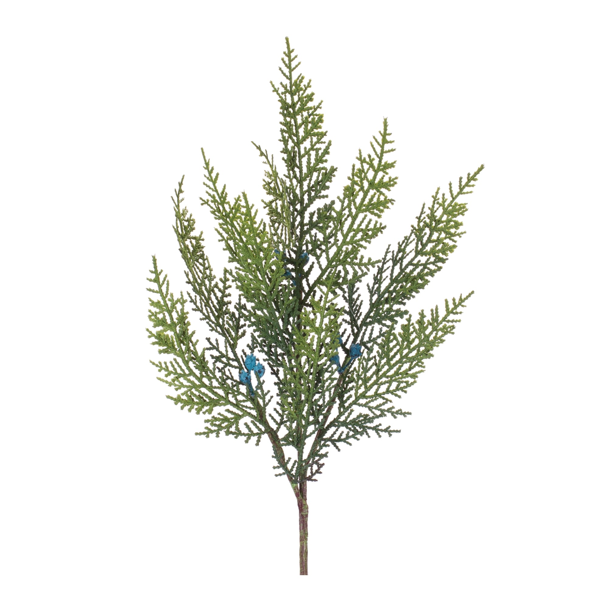 Variegated Juniper Spray (Set of 12)